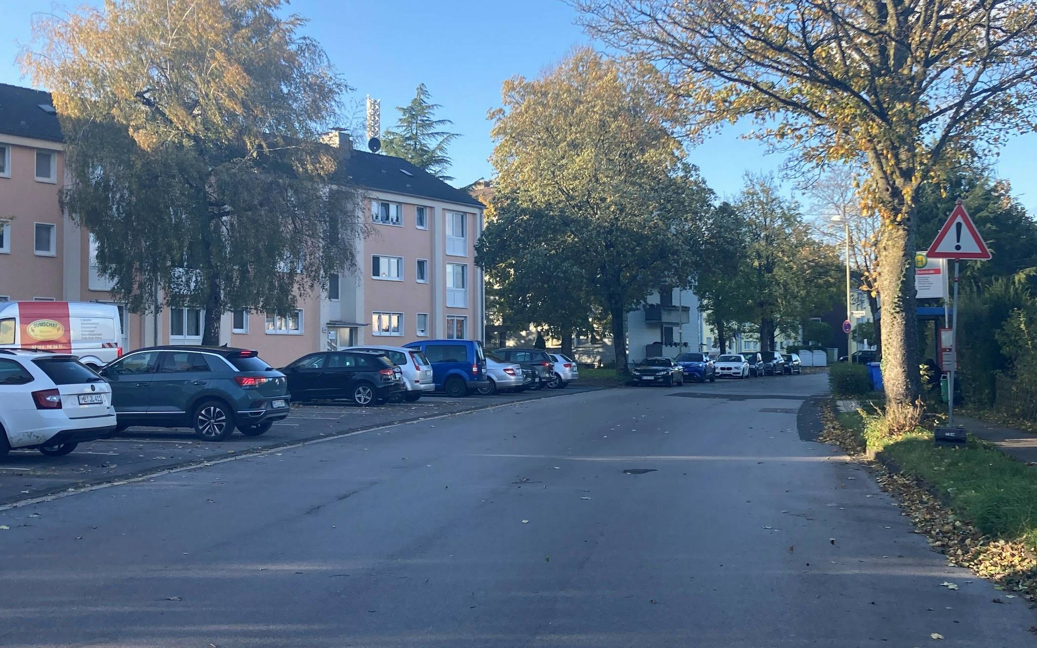  Der Düsselring in Mettmann mit parkenden Autos und Bäumen. 