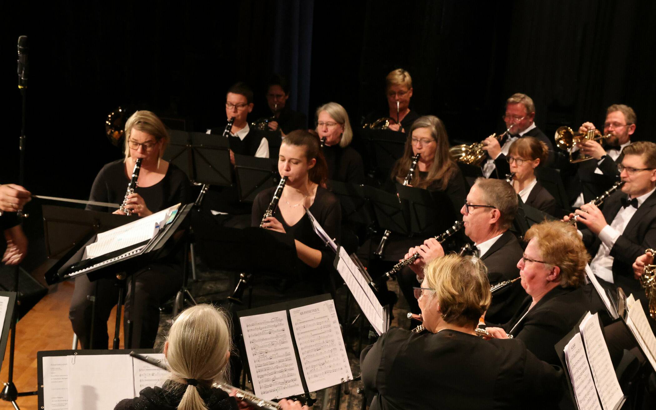 Das Stadtorchester Mettmann in Aktion.&#x21e5;Foto: Uwe