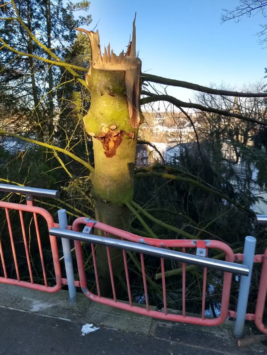 Umgestürzter Baum beschädigt Geländer der Regiobahn