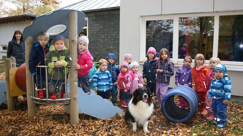 Die Projekthunde im Kindergarten Händelstraße