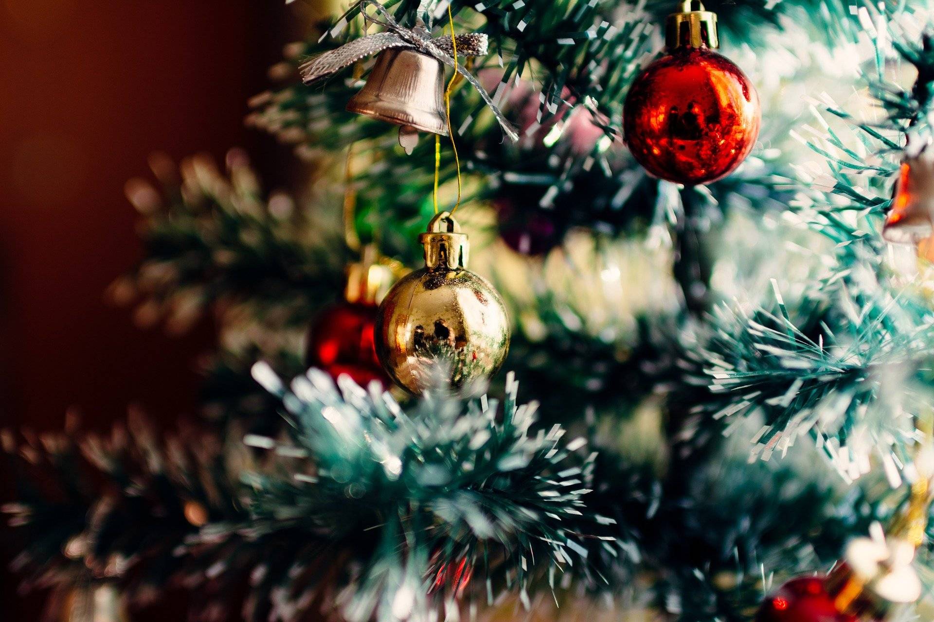 Abholung der Weihnachtsbäume ab 7. Januar: Raus mit dem Weihnachtsbaum