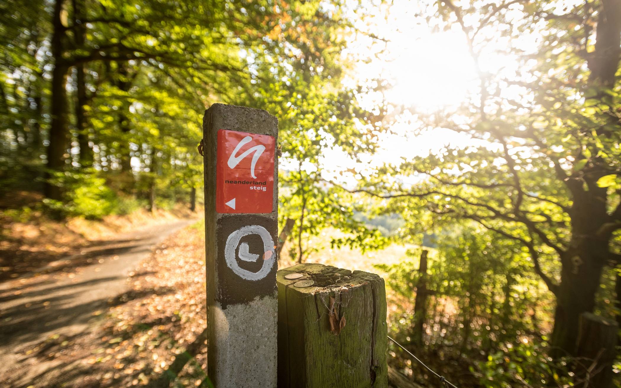 Wie man in den Wald hineinruft…