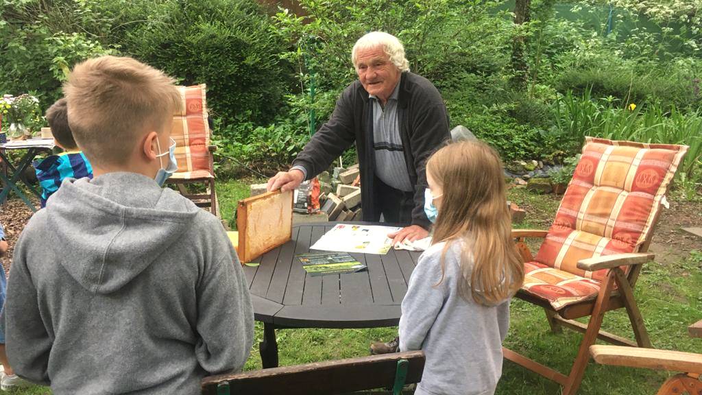 Kleine Bienenkunde bei den Stadtwaldkids