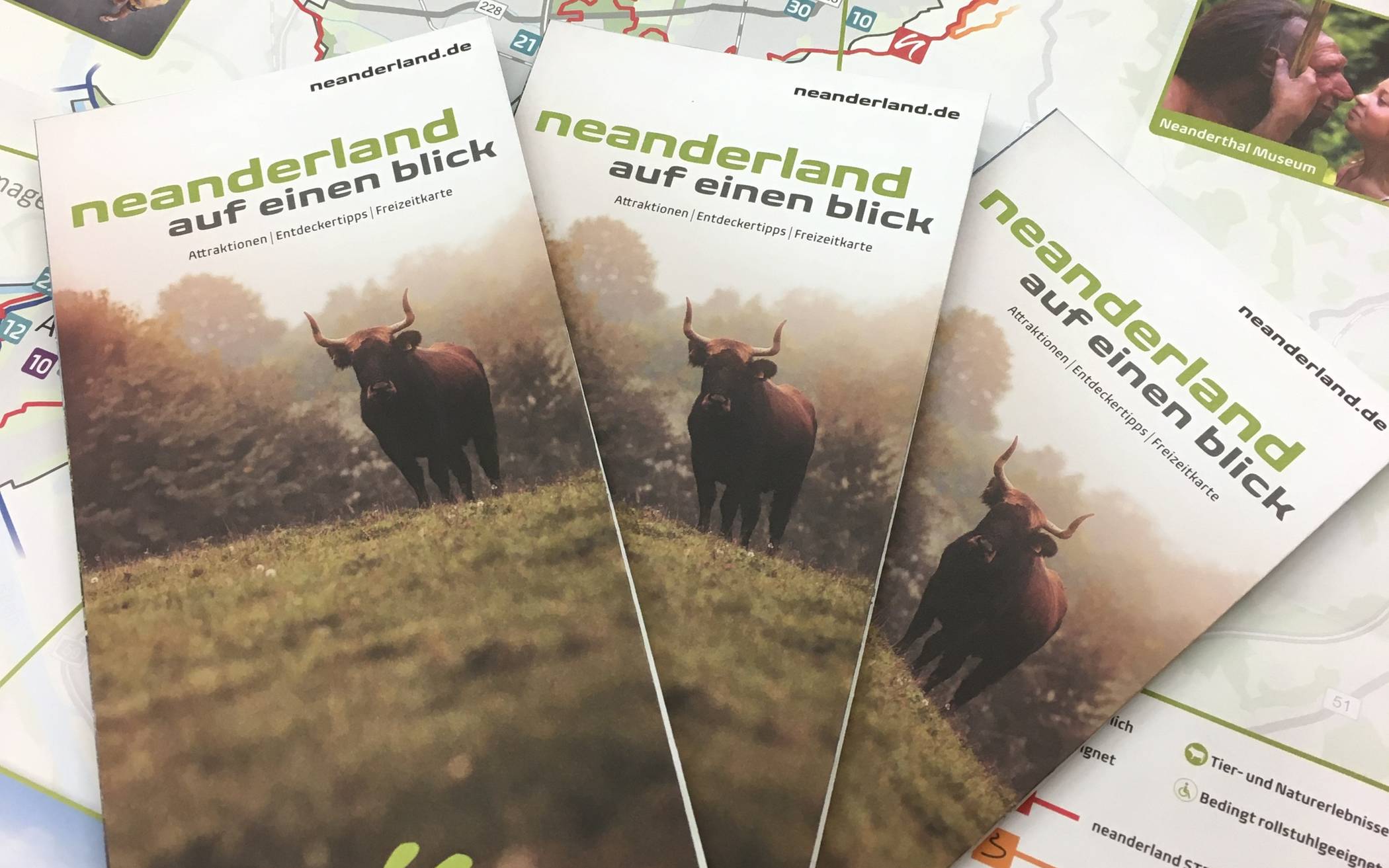 Neuer Flyer für neue Gäste: „neanderland AUF EINEN BLICK“