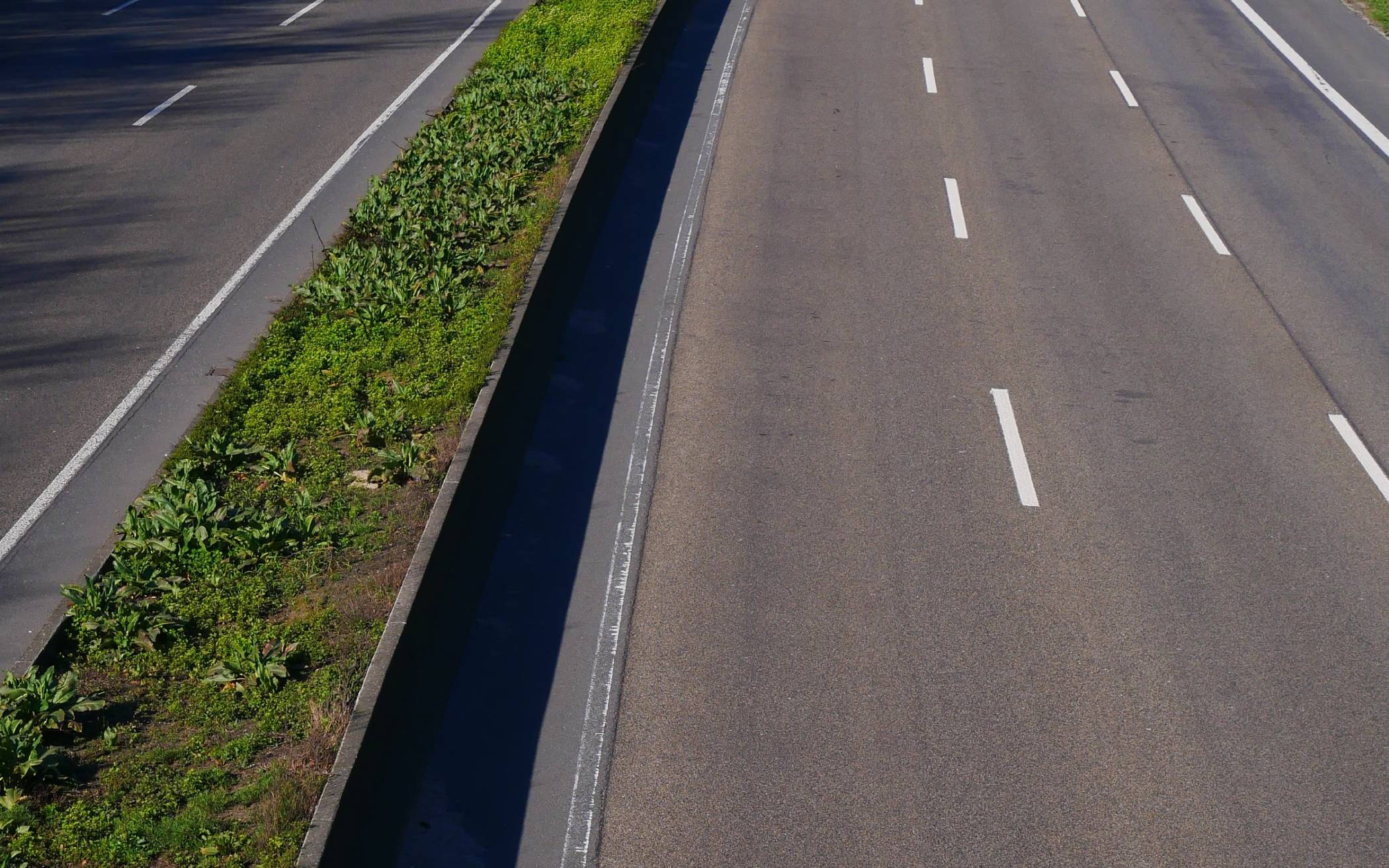 Naturschutz fordert sofortigen Planungsstopp