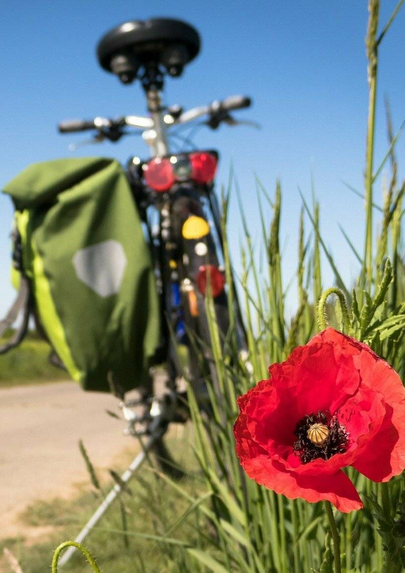  Das Fahrrad spielt bei den Überlegungen zur Mobilitätswende bei den Grünen eine tragende Rolle. 