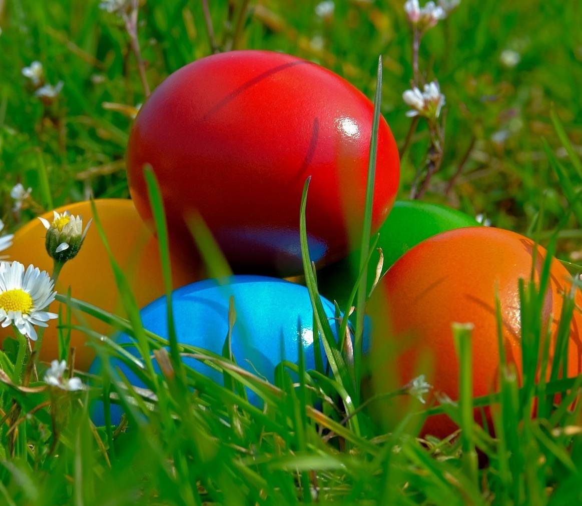 Bunte Osterpracht.&#x21e5;Foto: NVM / pixabay