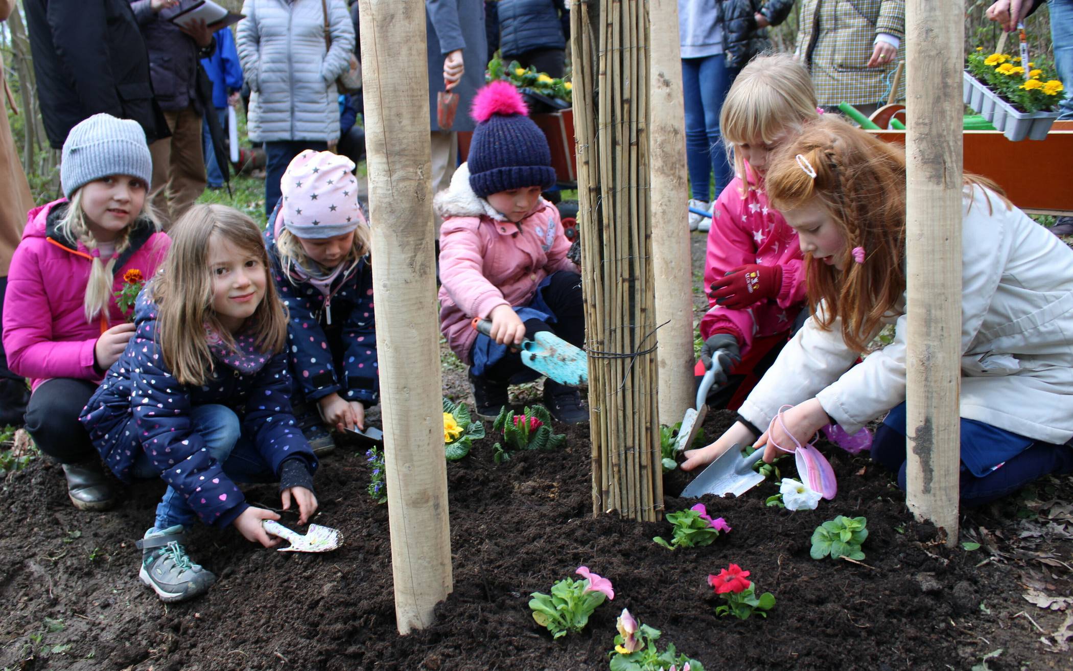 Die Stadtwaldkids pflanzen bunte Blumen um