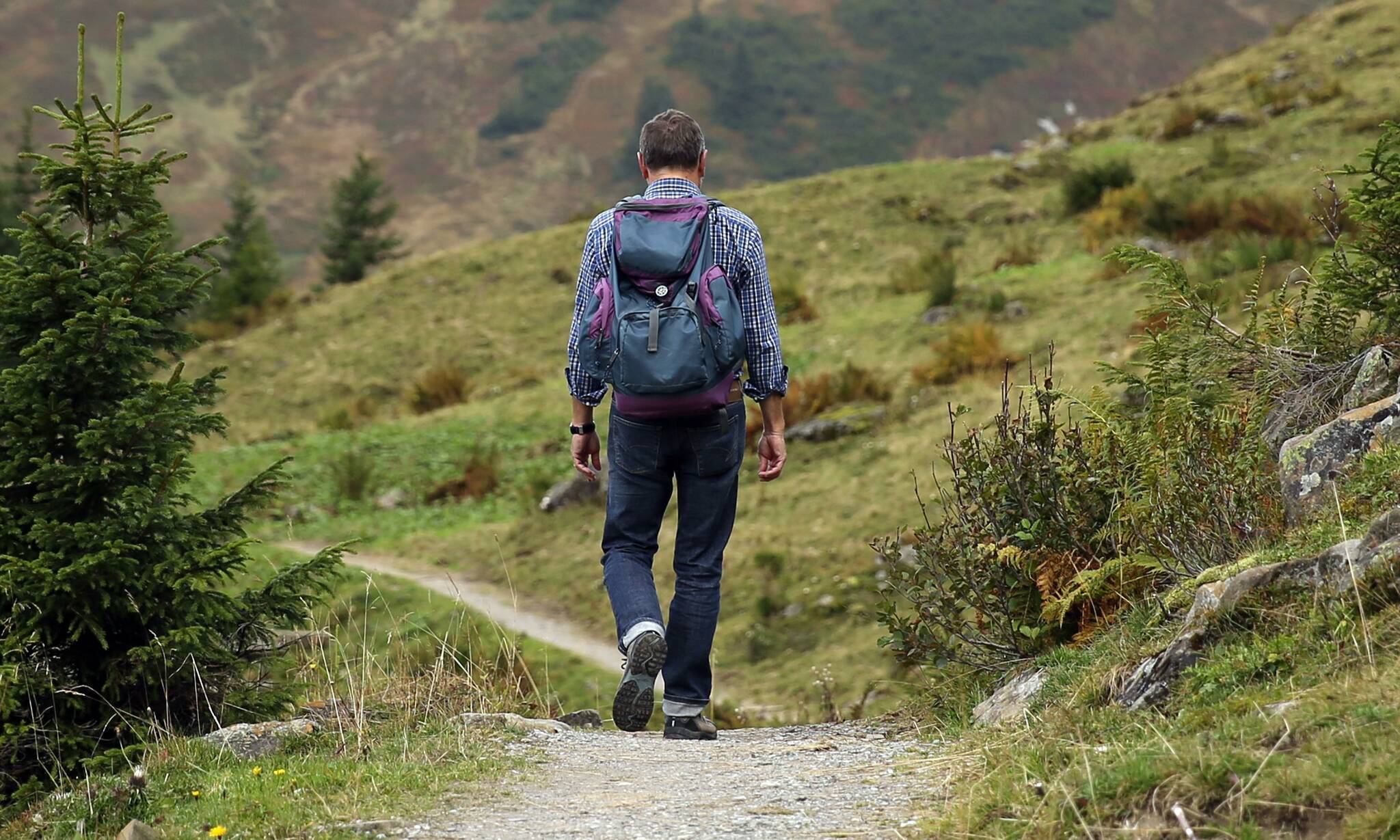 Neanderland-Wanderwoche: Spaziergang zwischen Altem und Neuem Rhein 