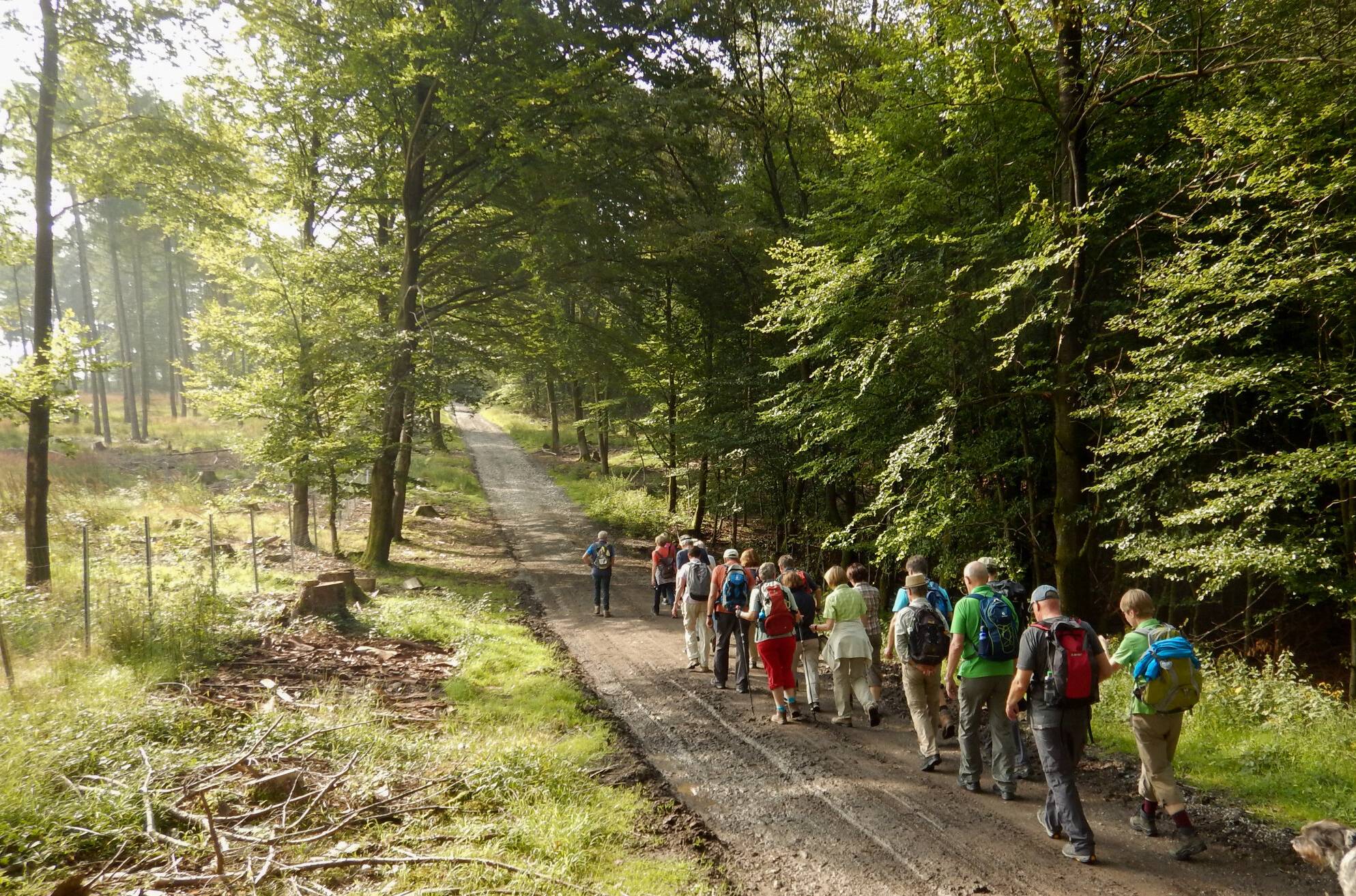 Nordic-Walking-Kurs für Einsteiger: Walken durch die schöne Mettmanner Natur