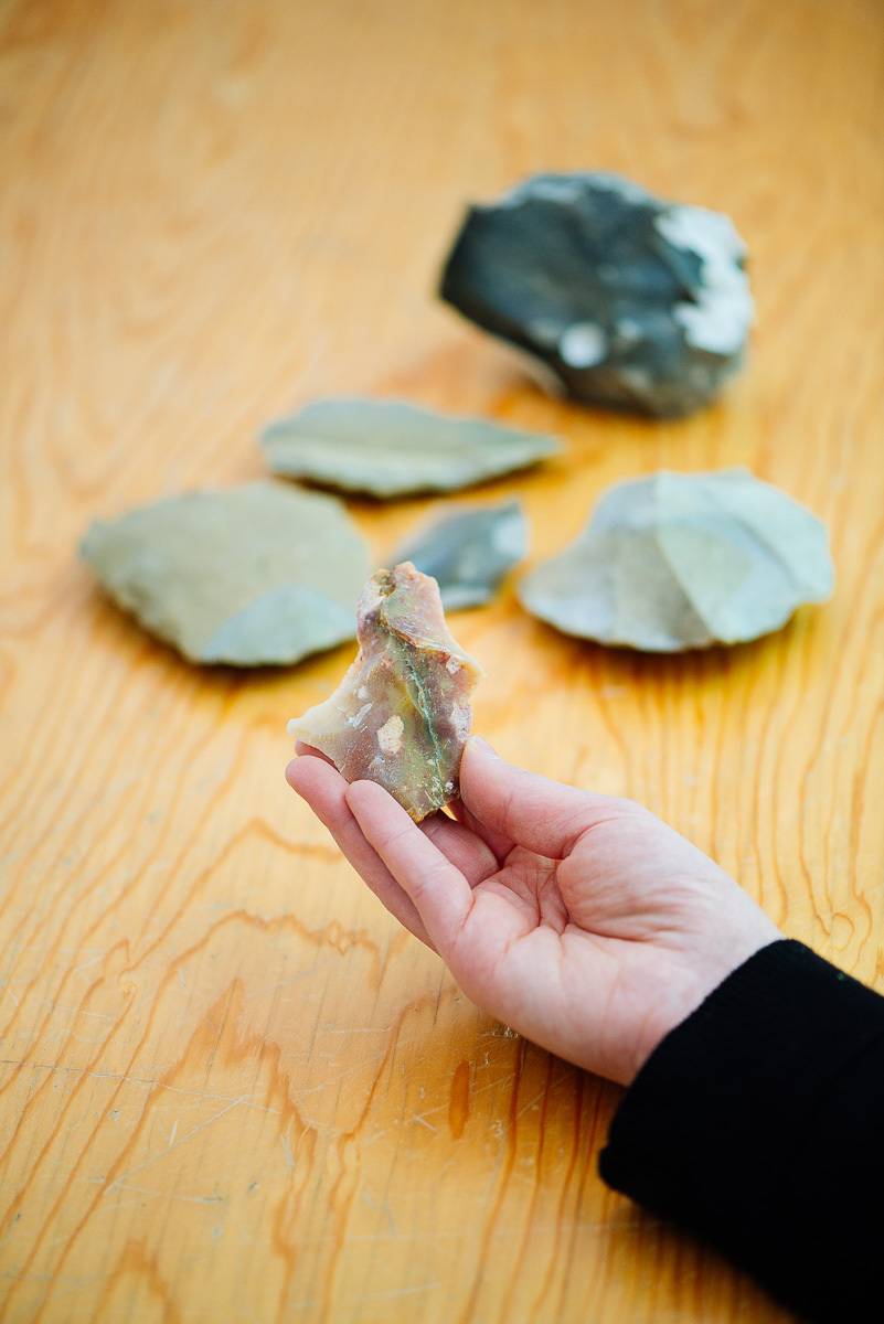 Bestimmungstag im Neanderthal Museum: Experten begutachten fossile Fundstücke