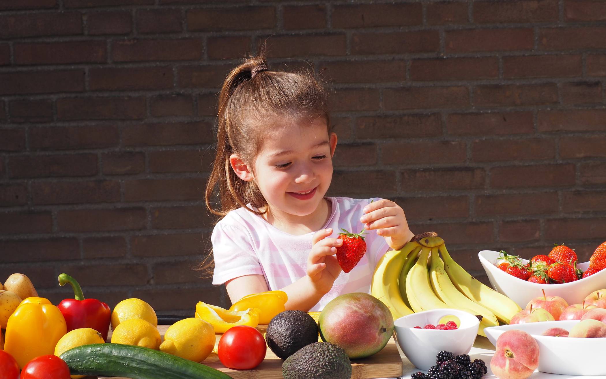 Honorarkräfte für Ernährungsbildung gesucht