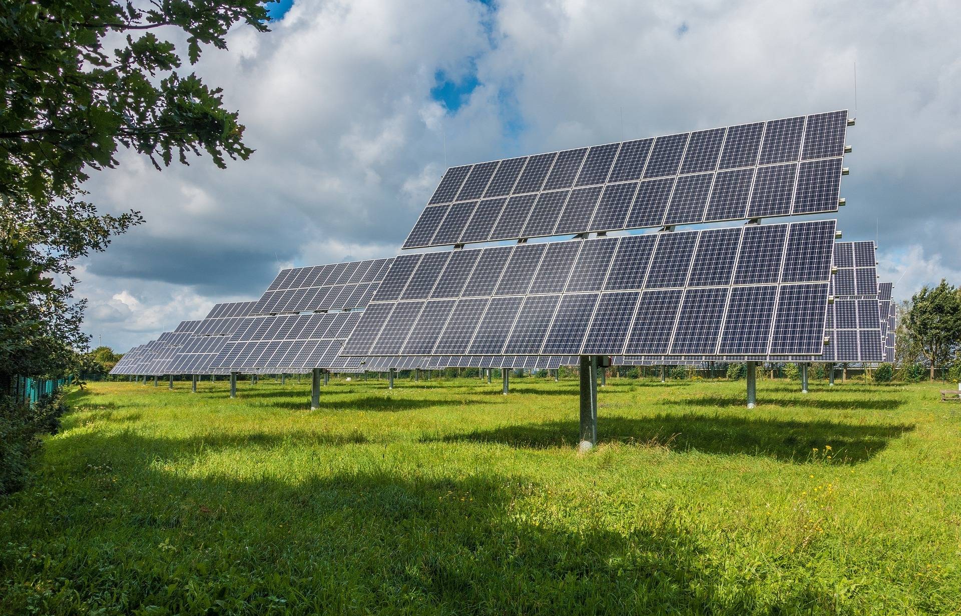 Wie Unternehmen erneuerbare Energien erfolgreich nutzen
