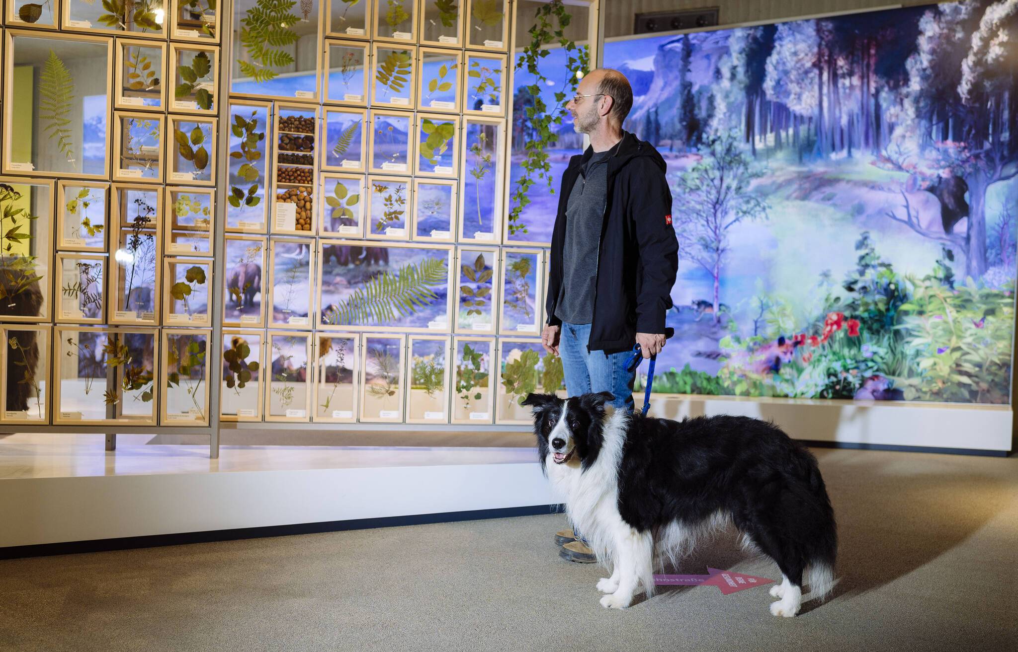 Mit dem Hund durch die Dauerausstellung: „DoggyDay“ im Neanderthal Museum