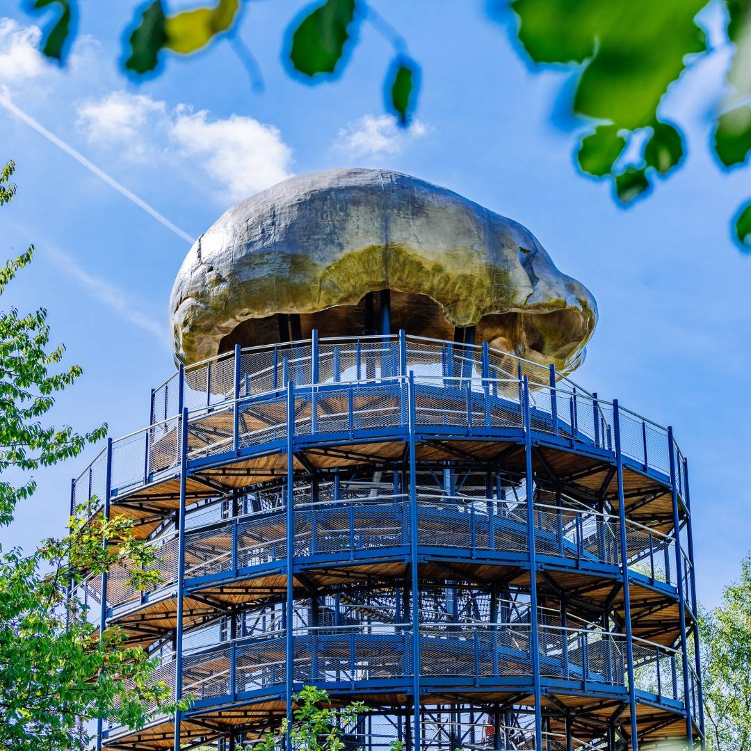 Erlebnisturm beschert dem Neanderthal Museum Rekord-Besucherzahlen: Höhlenblick erweist sich als Besuchermagnet