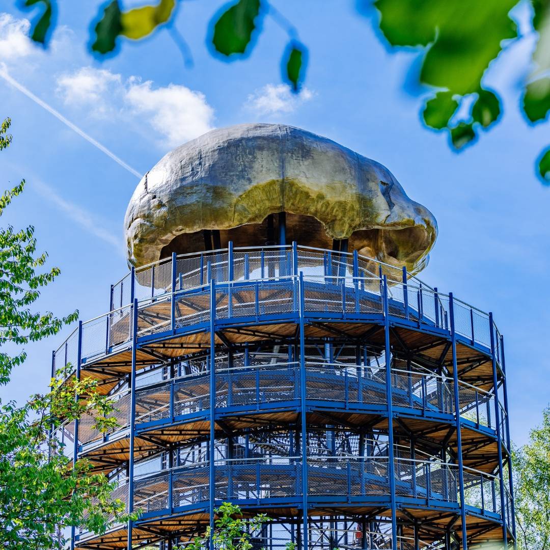 Höhlenblick erweist sich als Besuchermagnet