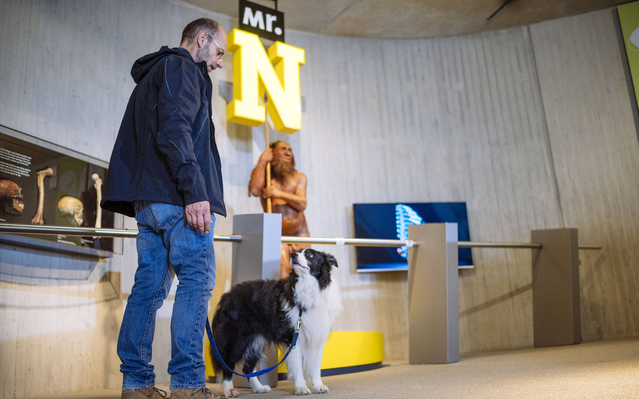 „DoggyTour“ und „DoggyDay“ im Neanderthal Museum: Mit dem Hund durch die Dauerausstellung