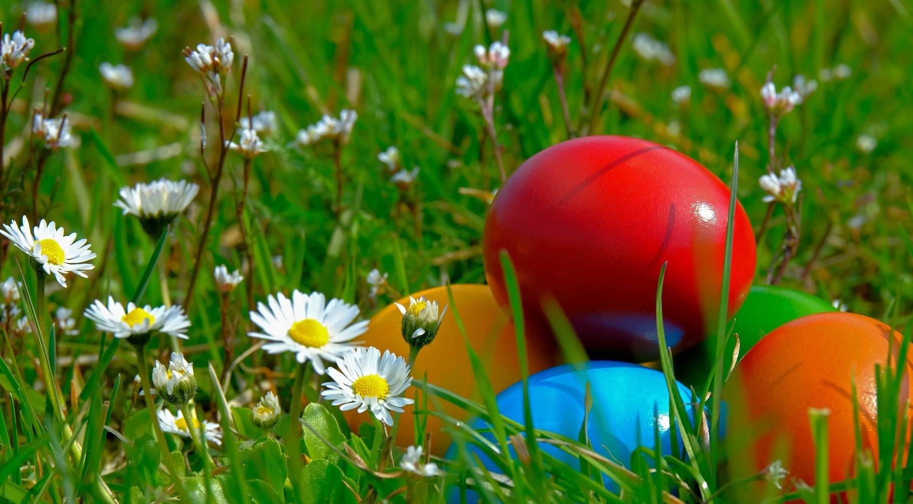 Auf dem Markt wird es bunt.&#x21e5;Foto: