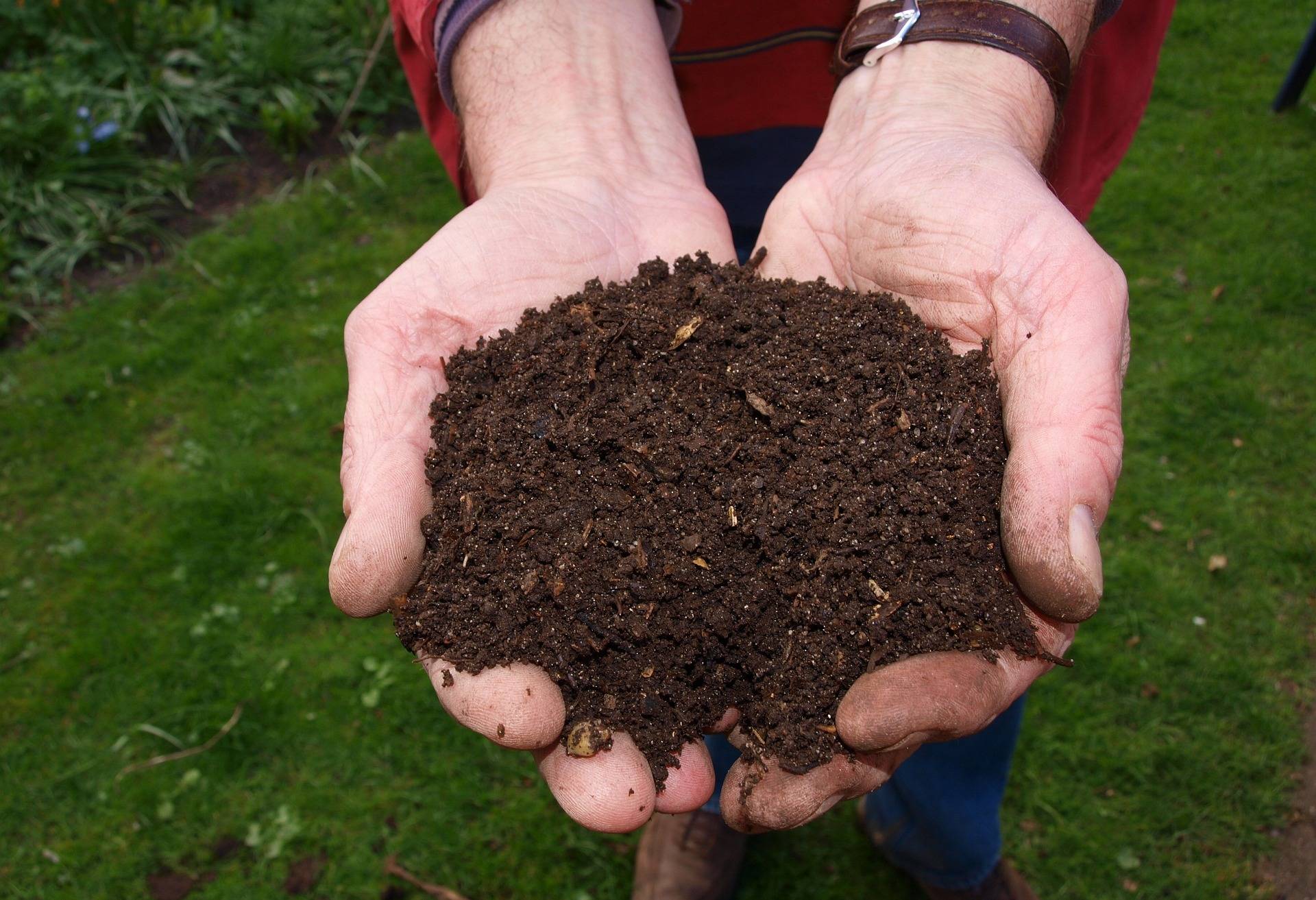 Wertvoller Nährstofflieferant für den Garten: Komposthumus aus dem Kreis Mettmann