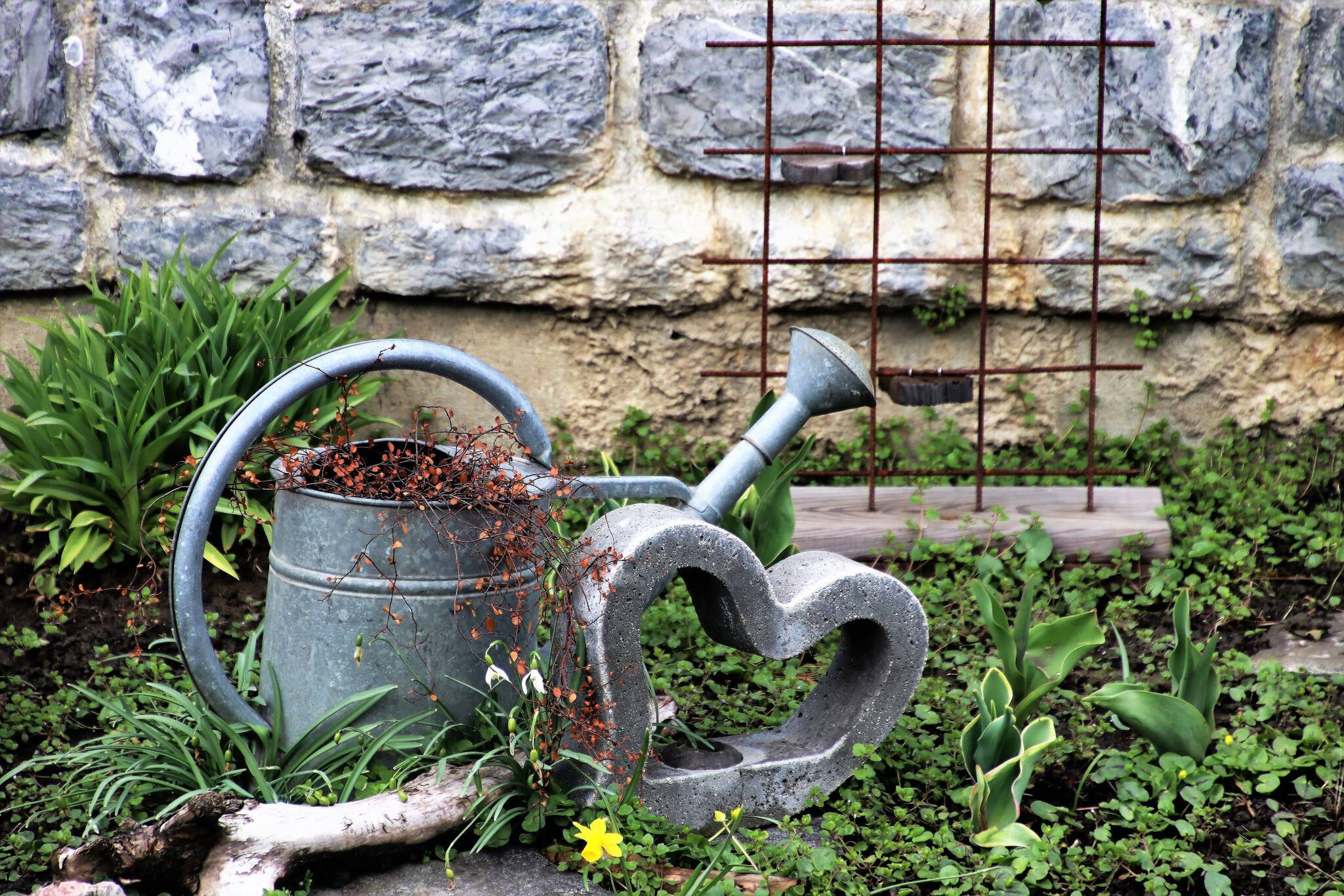 Private Gartenbesitzer öffnen ihre Gärten für Besucher​