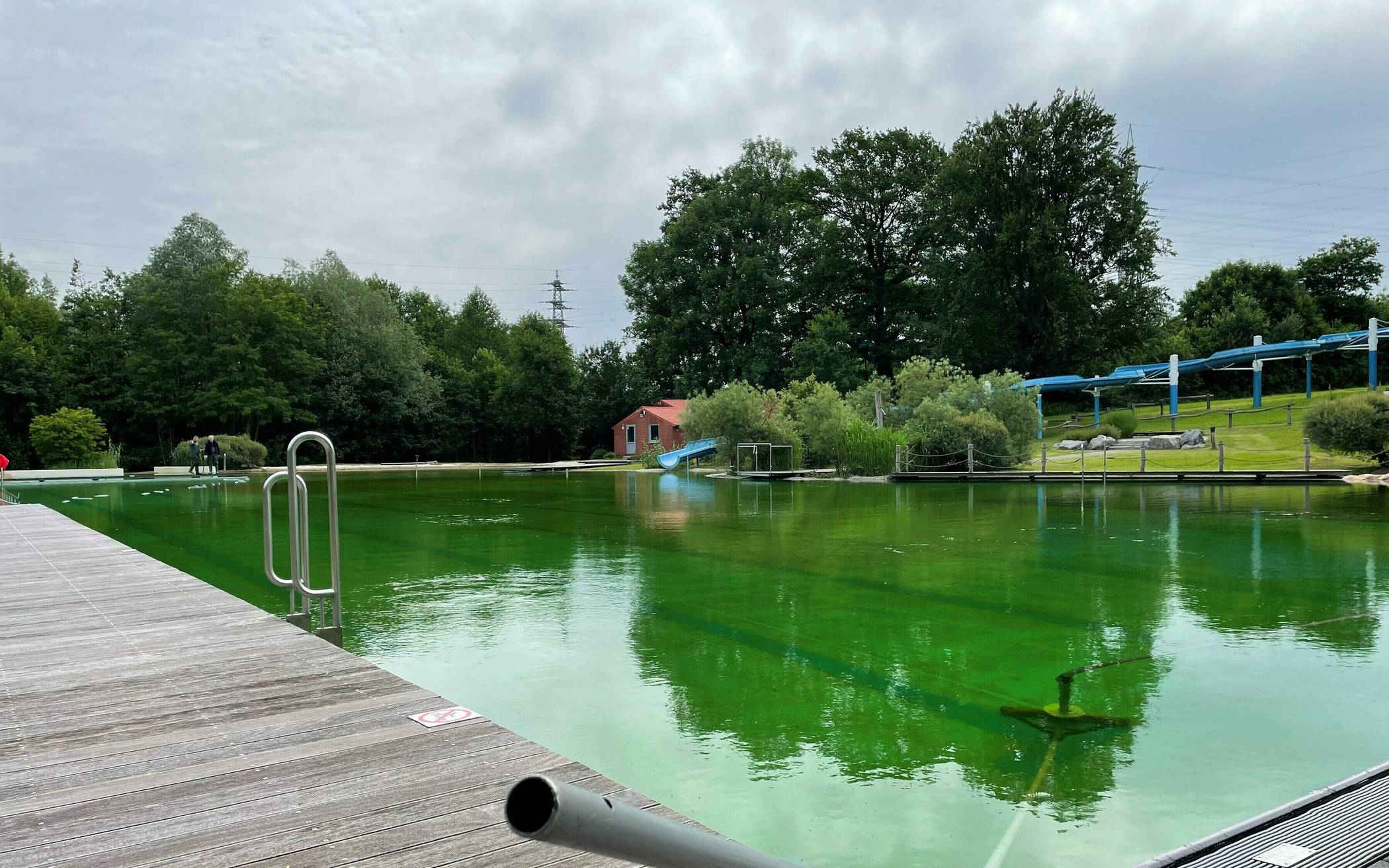 Ein Rausch von Grün: das menschenleere Naturfreibad. Schon bald wird es hier von Menschen wimmeln. 