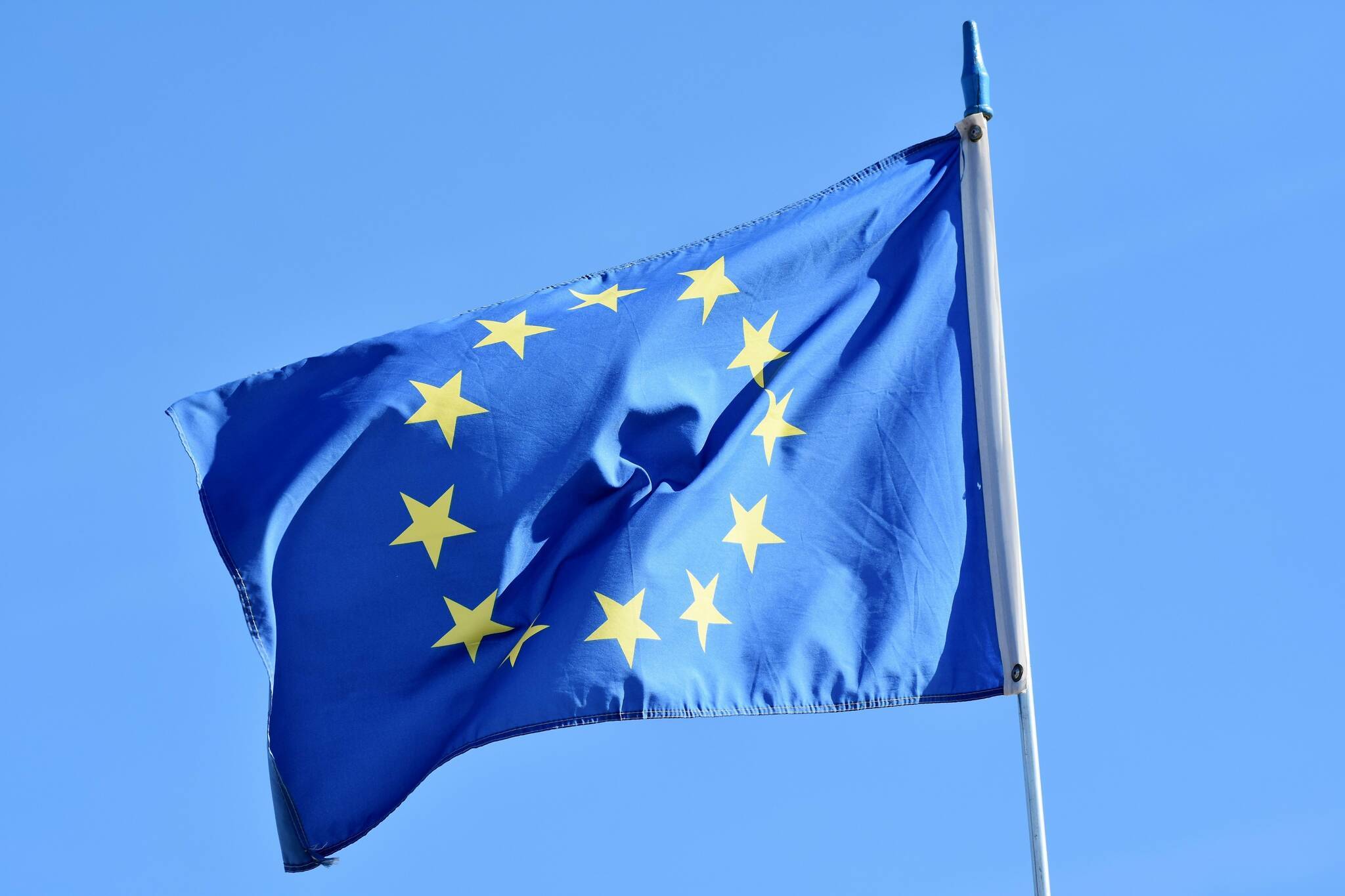 Vorläufiges Ergebnis: Europawahl im Kreis Mettmann​
