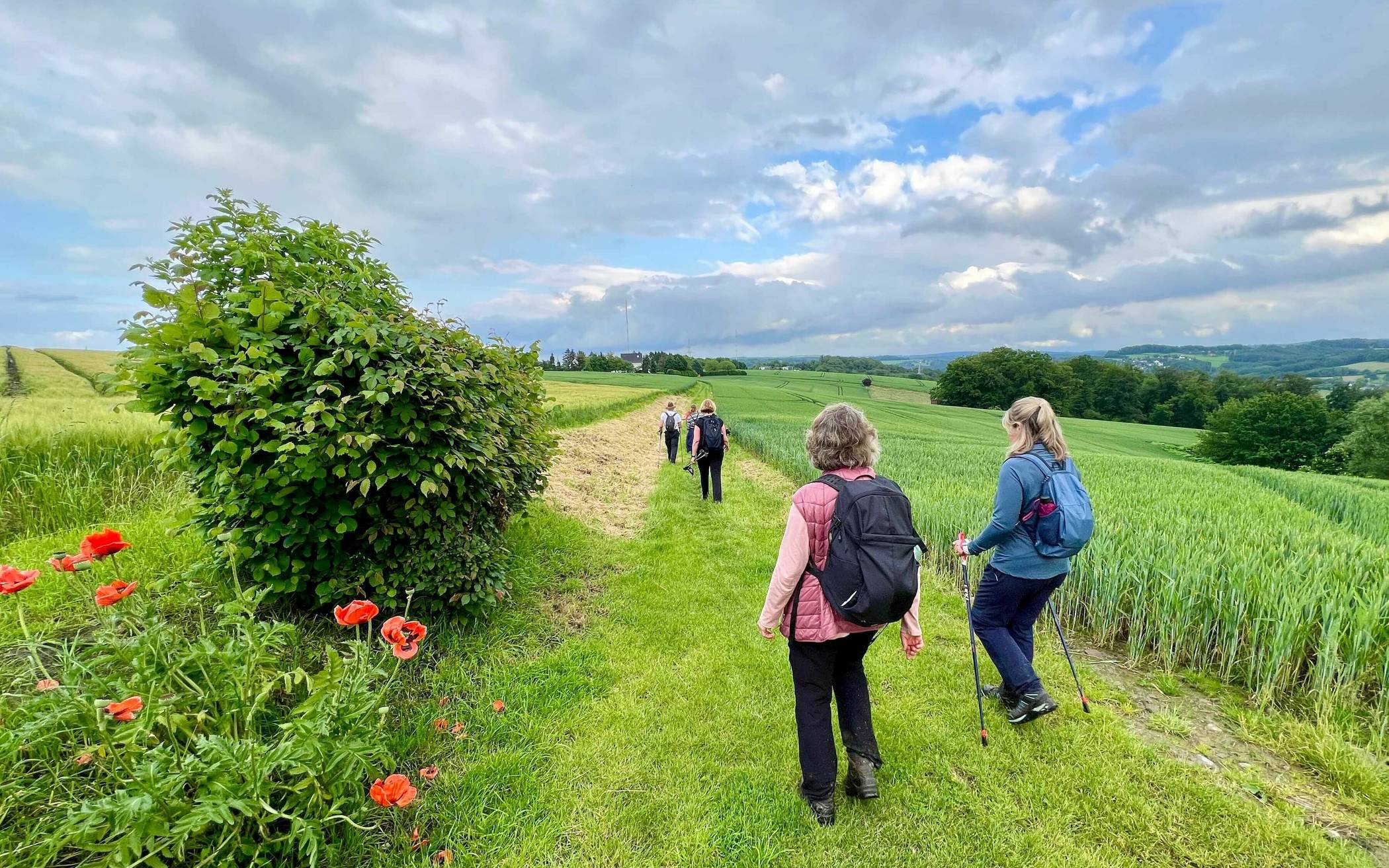 Austausch zu Tourismus und Natur beim Tourguide-Treffen