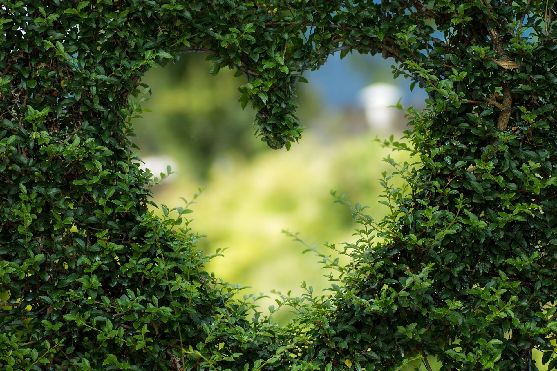 Tage der offenen Gartenpforte