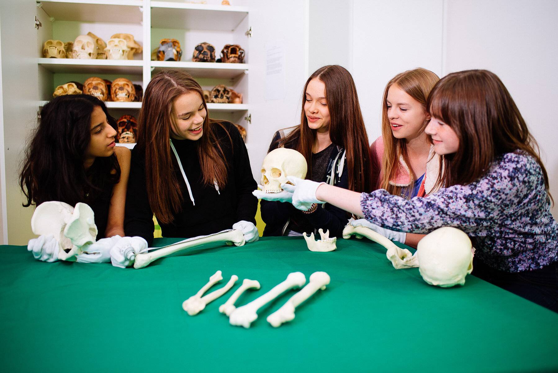 Neues Format im Neanderthal Museum 