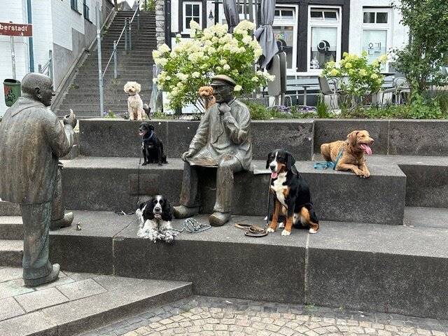 Der richtige Umgang mit Hunden will