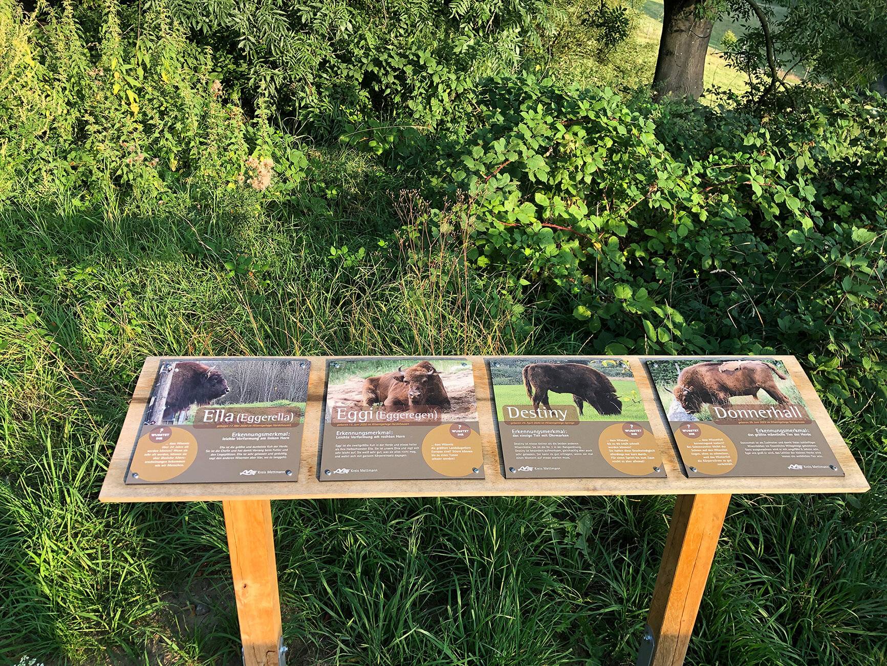 Das sind die Chefs und Diven im Wildgehege