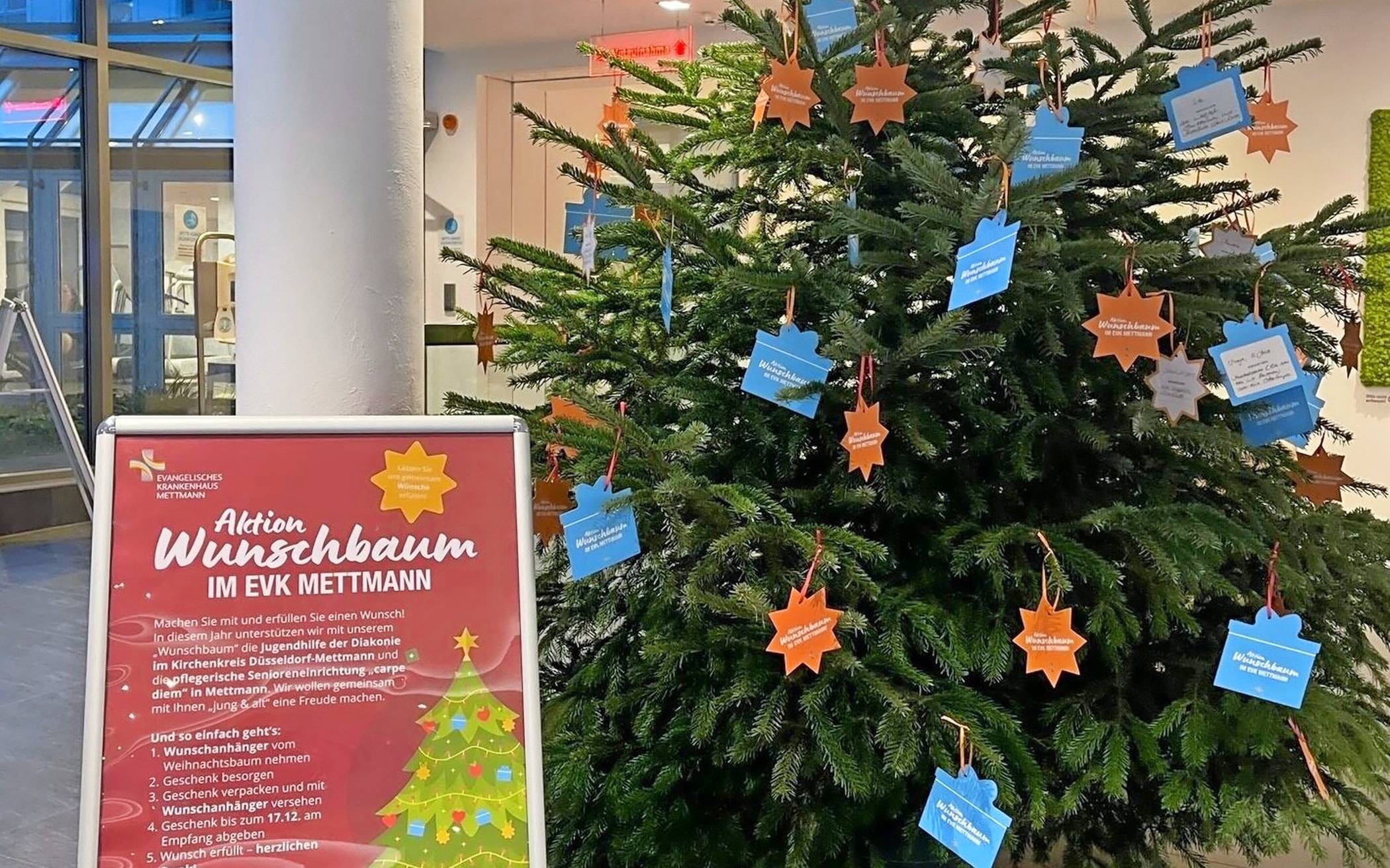 Wünsche von Kindern und von Senioren