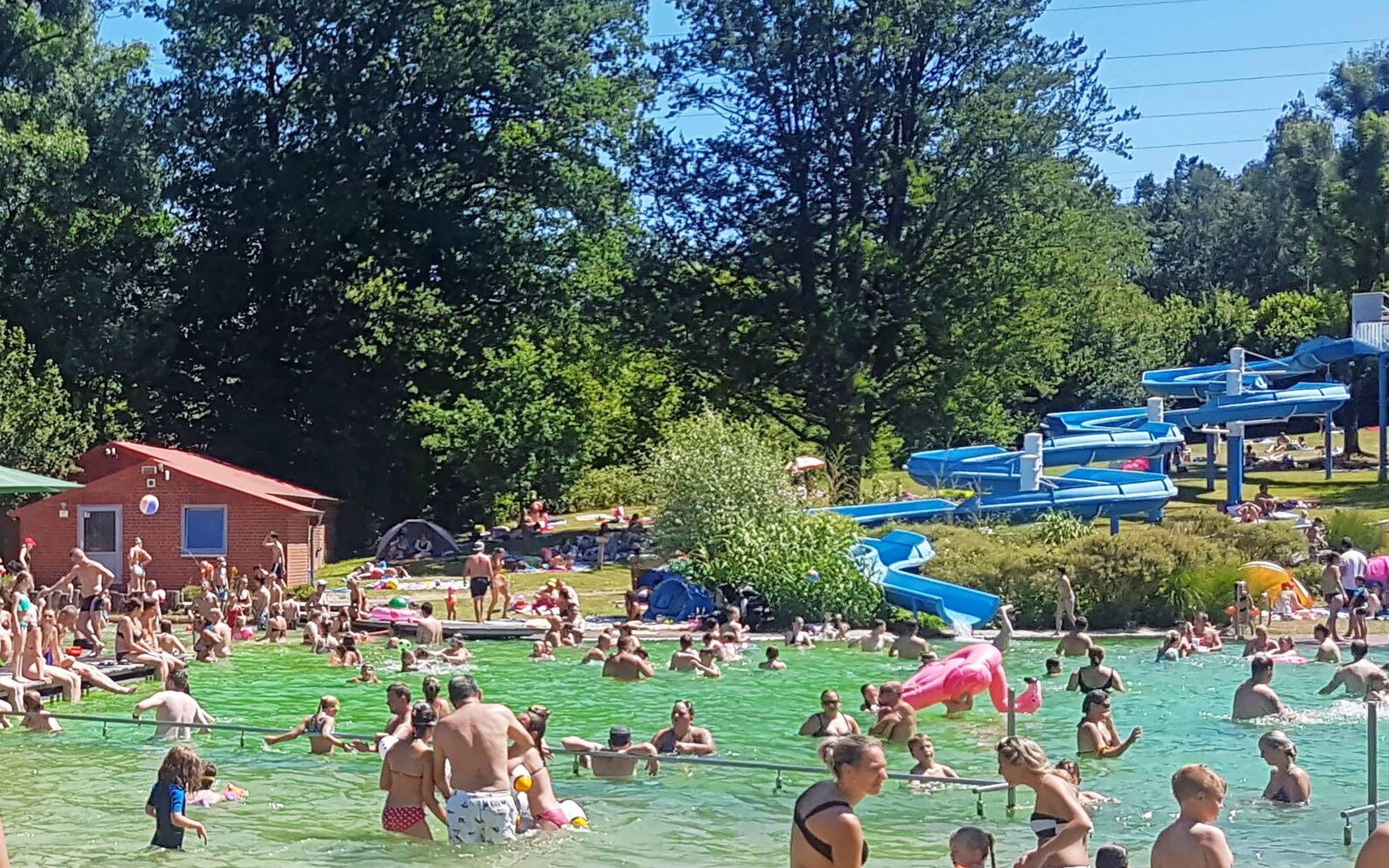 Zahlreiche Gäste aus der Region besuchen in diesen Tagen das Naturfreibad in Mettmann.