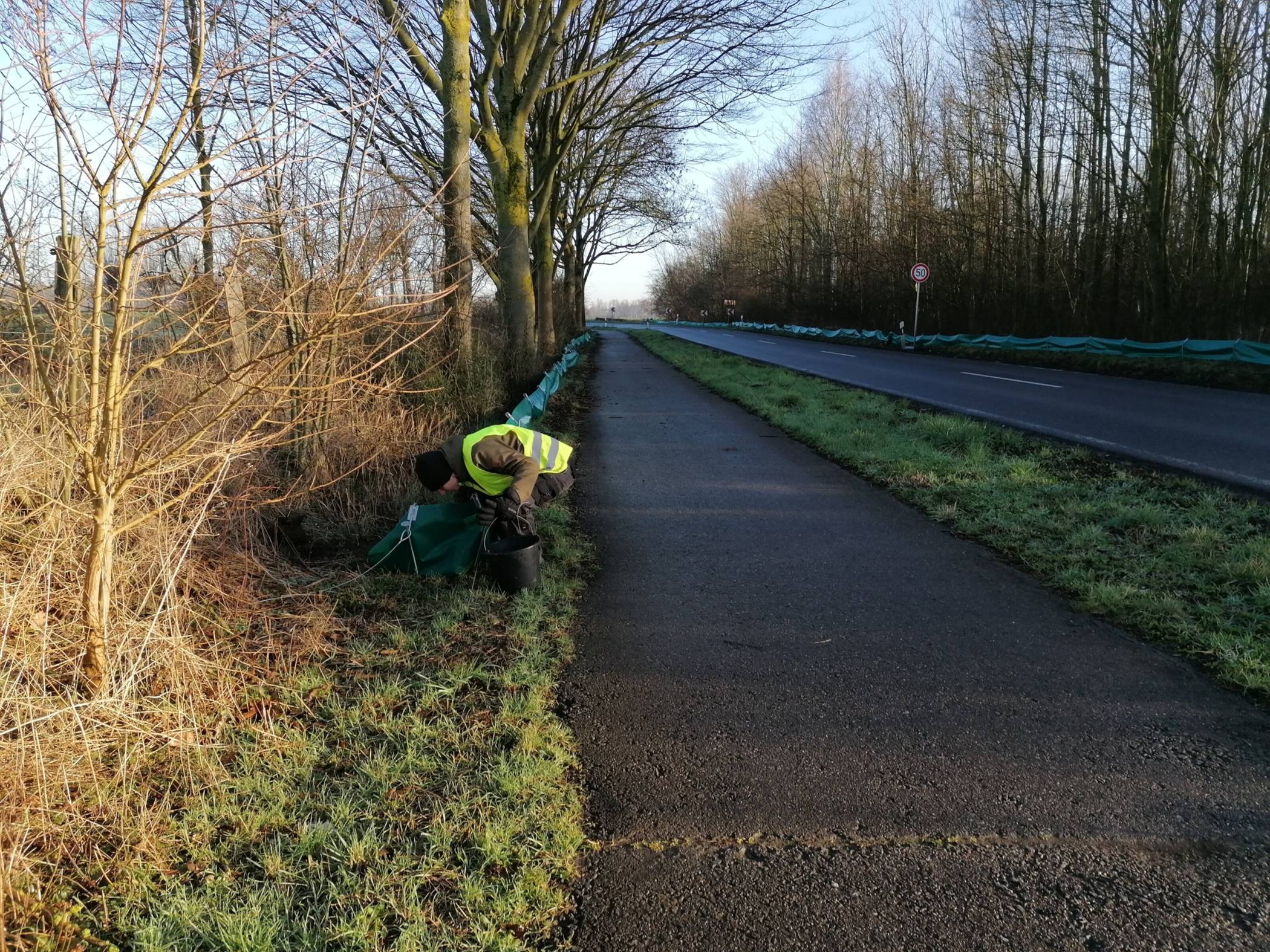 Der Krötenschutzzaun in Monheim fängt die Amphibien bei der Wanderung zu den Laichgewässern auf.   