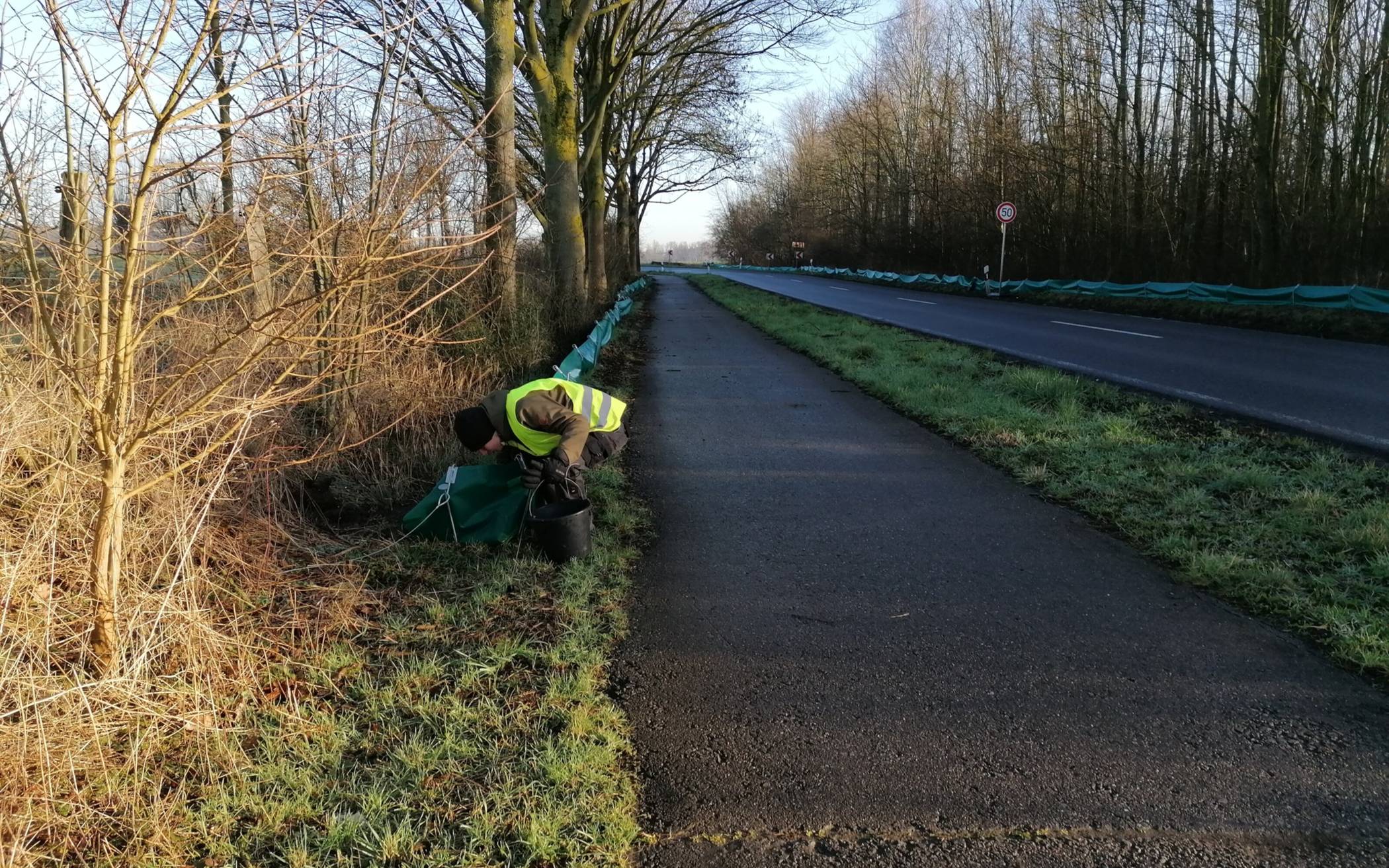 Der Krötenschutzzaun in Monheim fängt die
