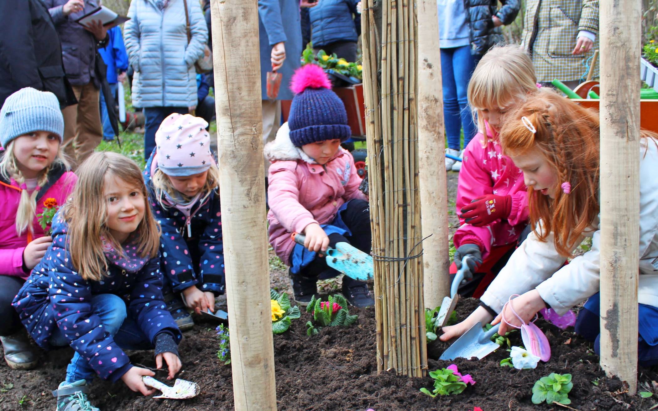  Bei der Baumpflanzaktion packen die Stadtwaldkids mit an. 