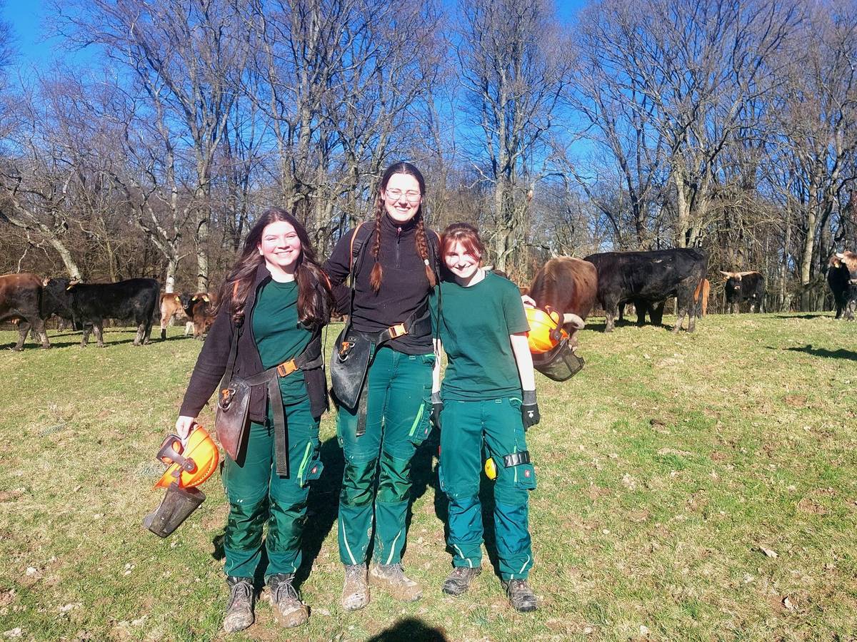 Arbeiten im Wildgehege: Kreis sucht junge Freiwillige