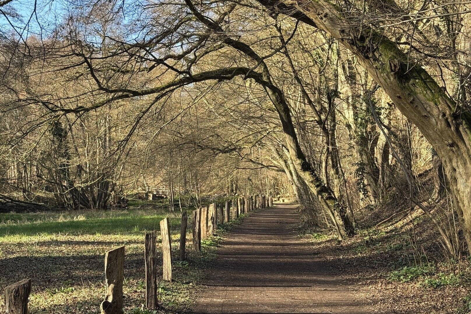 Der Wanderweg im Düsseltal ist für