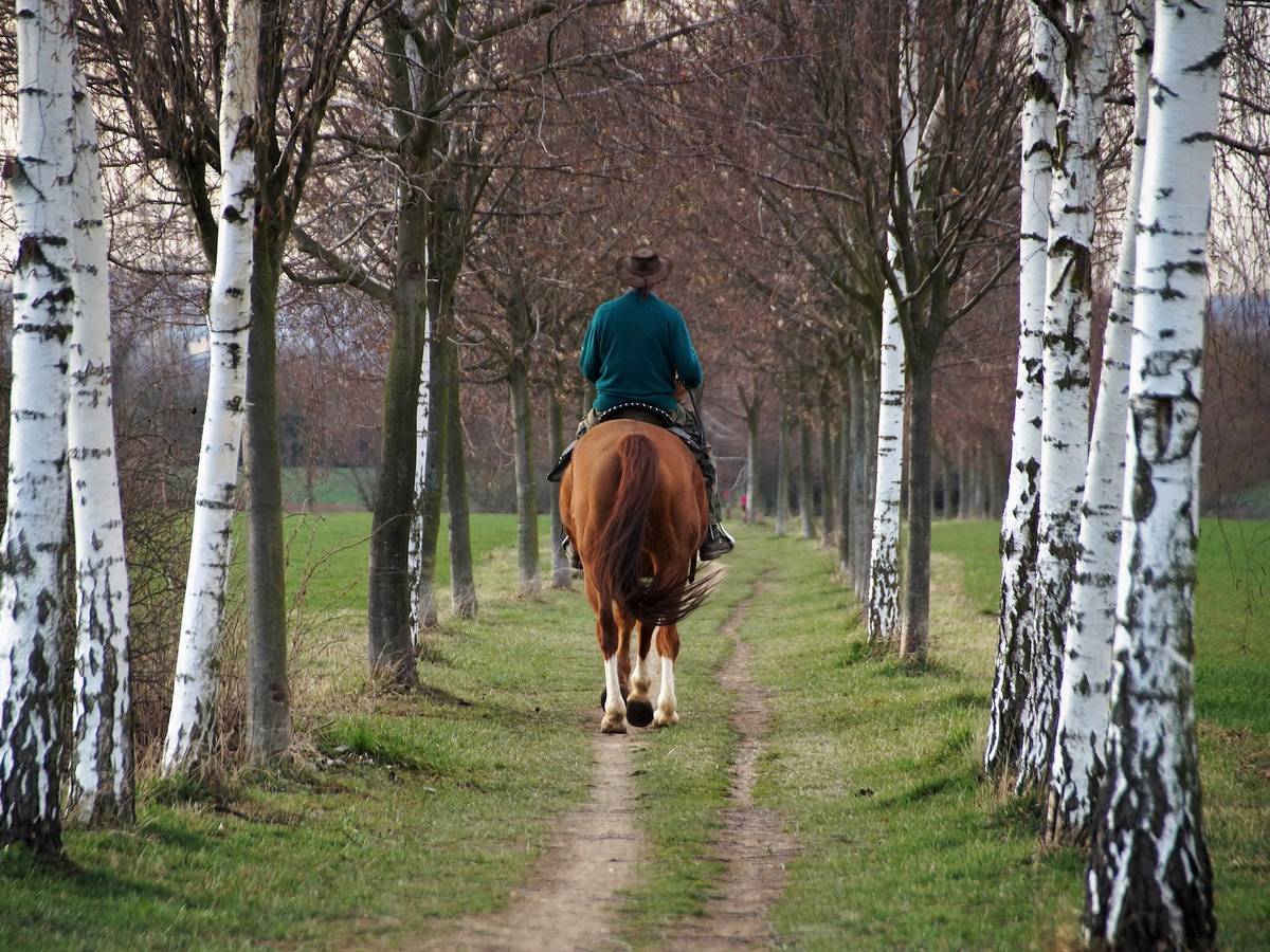 „Mehr Freiheit im Sattel statt unnötiger Plaketten!“