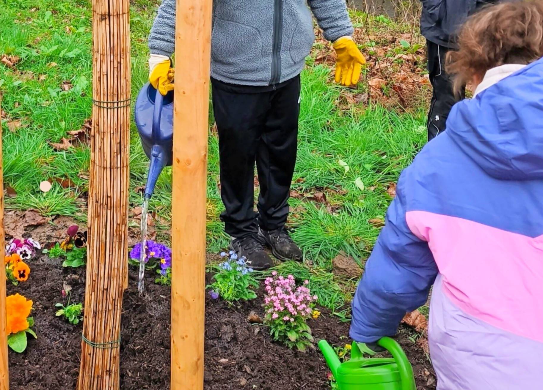 Eine Kirsche, eine Espe und viele bunte Blumen