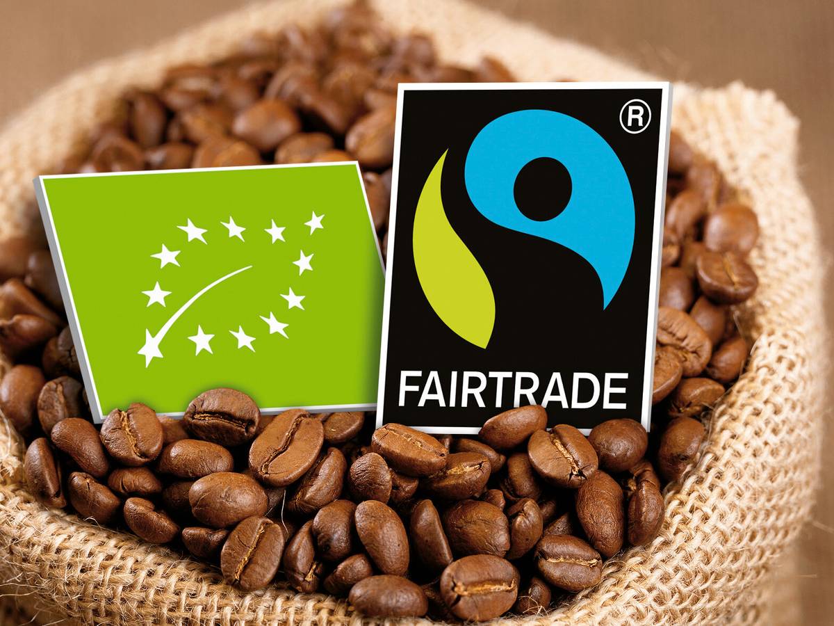 Weltladentag 2026: „Fair fruchtet!“