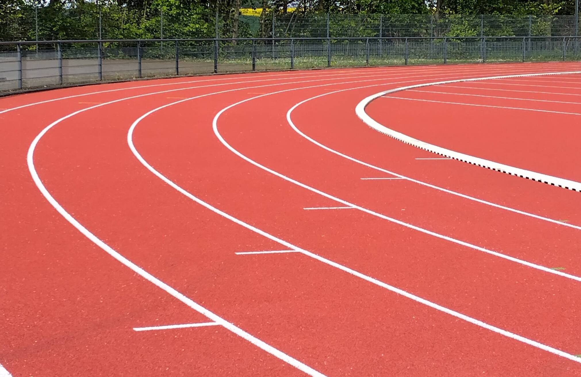 Der erste Mettmanner Sporttag
