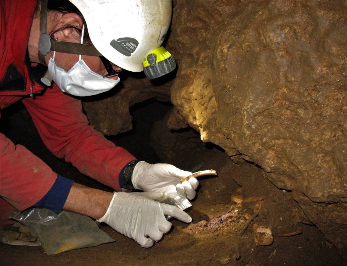  Ein Wissenschaftler führt Grabungen in der Blätterhöhle durch. 