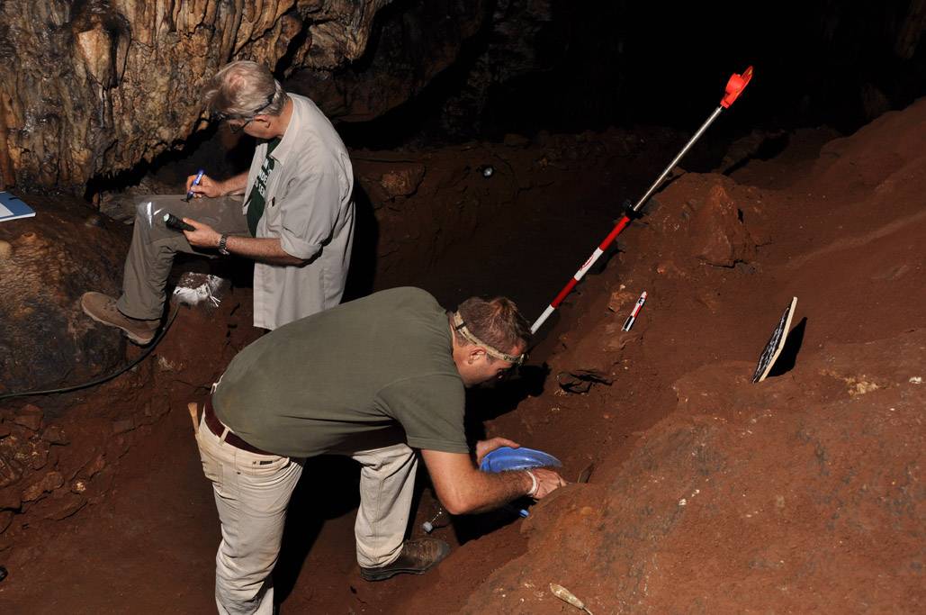 Experten stehen Rede und Antwort: Tag der Forschung im Neanderthal Museum