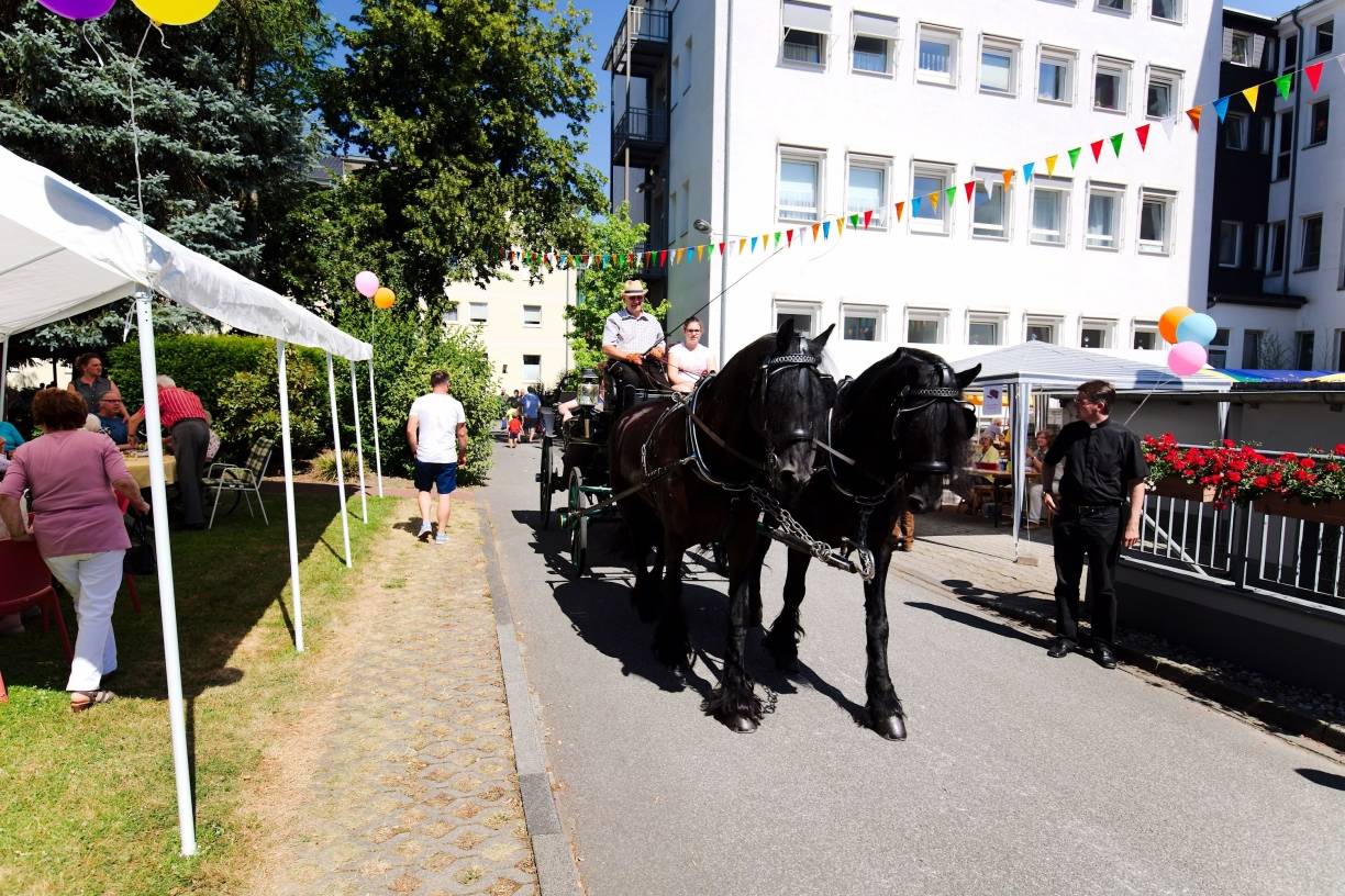  Die Kutschfahrt erfreute sich großer Beliebtheit während des Sommerfests. 