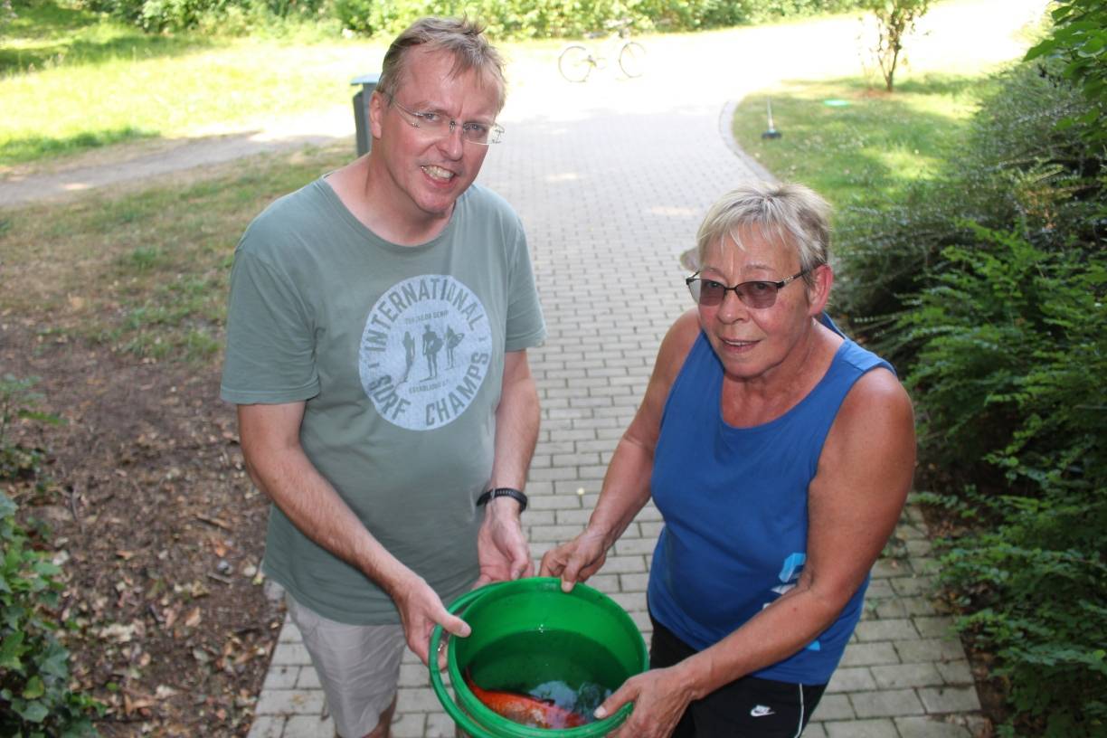 Rettungsaktion für Goldfisch Nemo