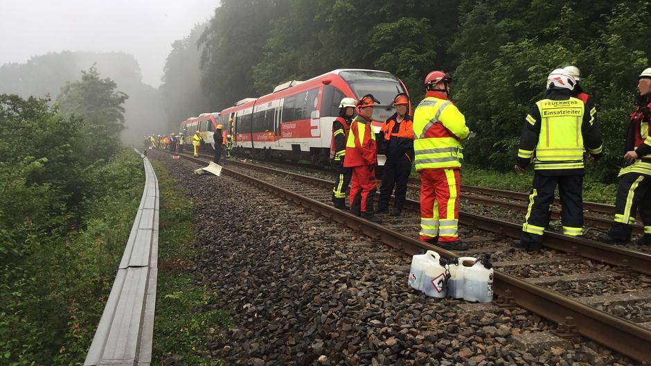 Zug der Regiobahn kollidiert mit umgestürztem Baum