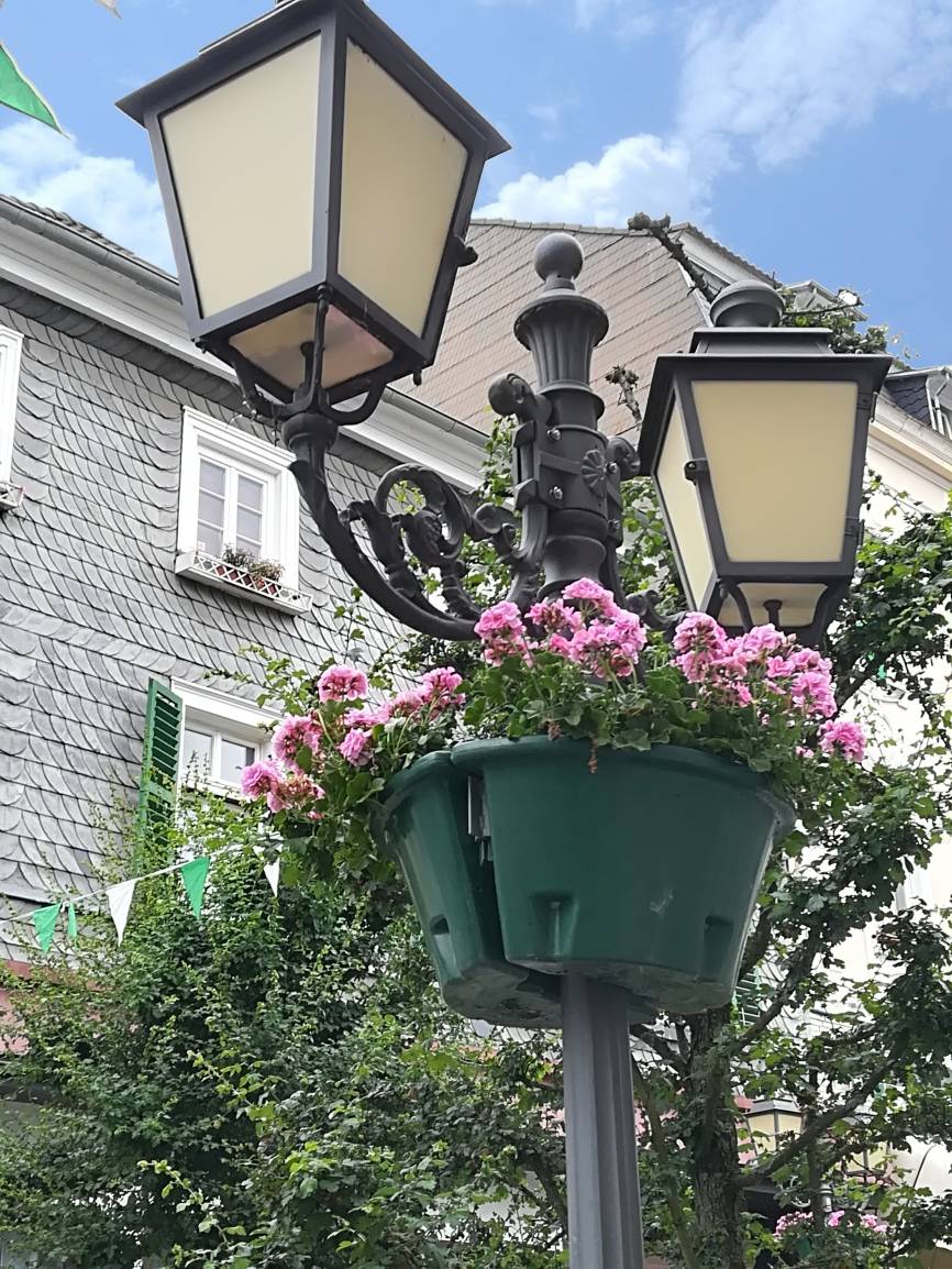 Sommerliche Blumenpracht in der Innenstadt