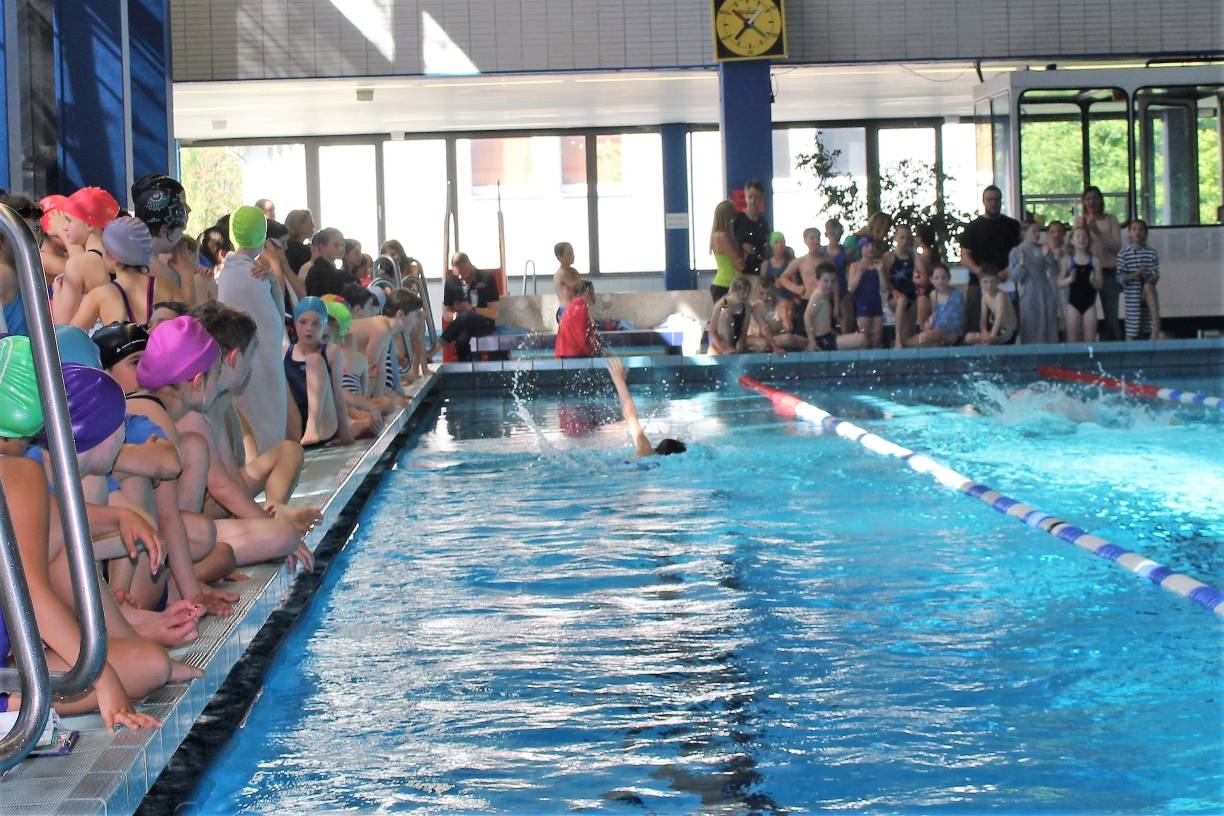  Alle fünf Mettmanner Grundschulen traten bei den diesjährigen Stadtmeisterschaften im Schwimmen gegeneinander an. 