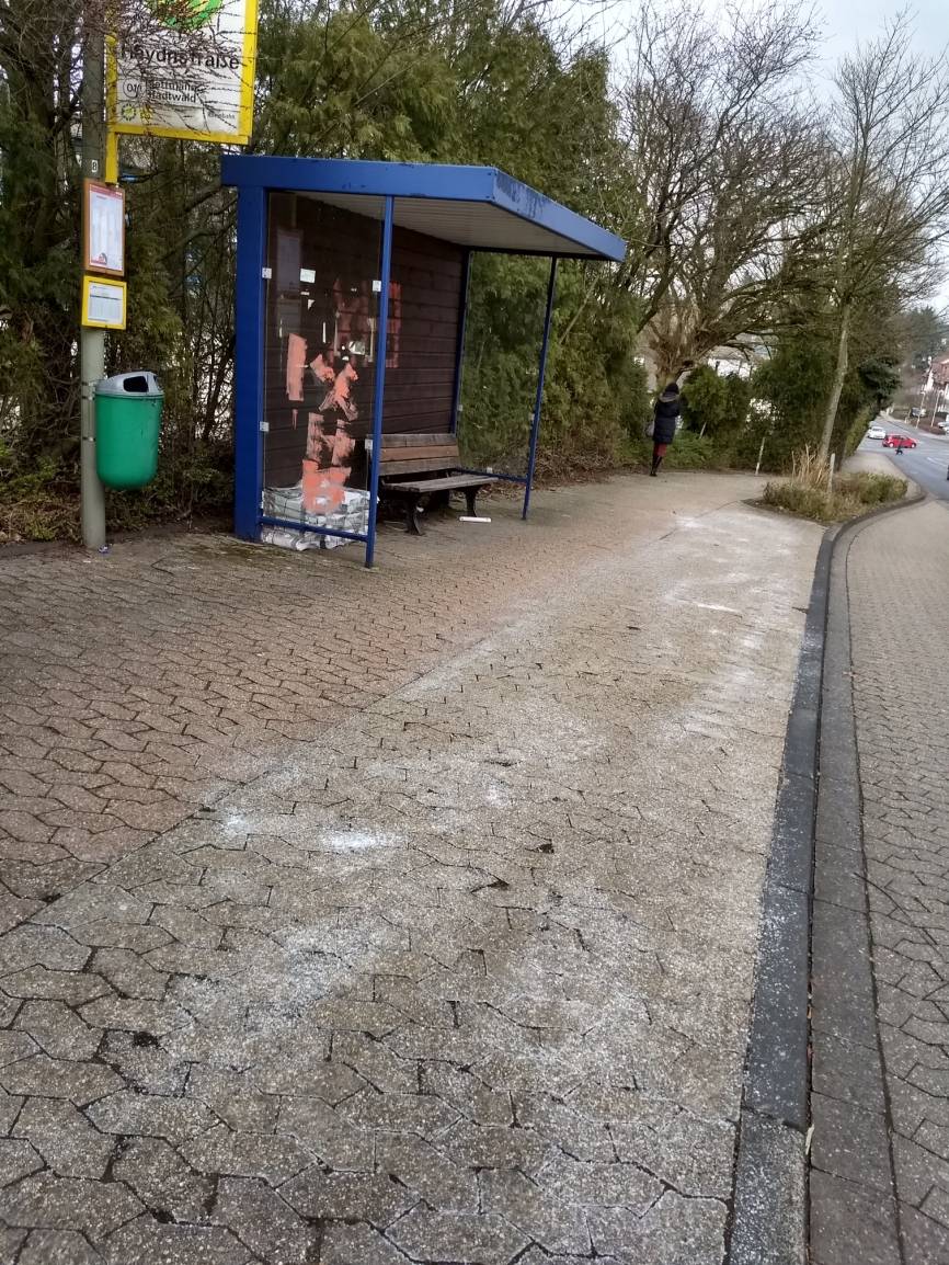 Leserbrief zum Streusalzeinsatz auf der Haydnstraße: "Das ist nicht nur ein Umweltvergehen, sondern eine Ordnungswidrigkeit"